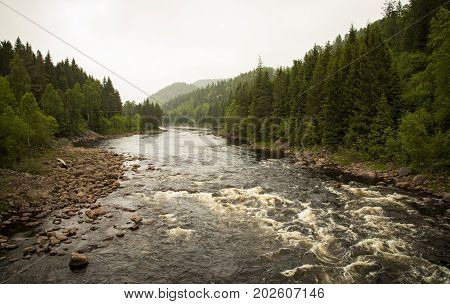 Tovdalselva, a river in south part of Norway, flowing through a forest of conifers