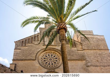 Old Town Sant Jaume church in Majorca. Alcudia Mallorca Balearic island Spain 28.06.2017