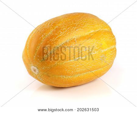one yellow melon isolated on white background.