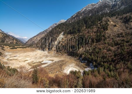 Forest mountain slope in a coniferous forest