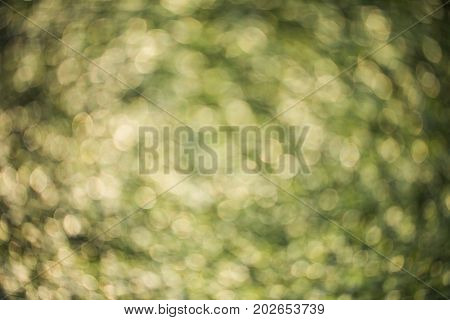 Colorful bokeh background. abstract blurred circles in nature colors. Copyspace for design and text