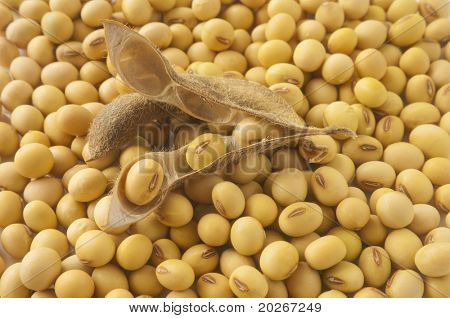 zdravá výživa sojový