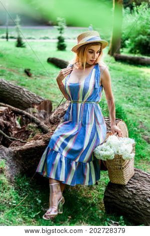 Beautiful girl wearing blue dress collect flowers in basket in the green grass wood