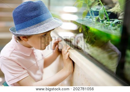 Little kid boy admire different reptiles and fishes in aquarium through the glass in zoo. Happy school child watching and observing animals and reptiles. Family leisure with kids