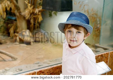 Little kid boy admire big turtles in terrarium through the glass in zoo. Happy school child watching and observing animals and reptiles. Family leisure with kids