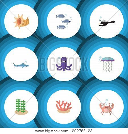 Flat Icon Sea Set Of Tuna, Medusa, Shark And Other Vector Objects