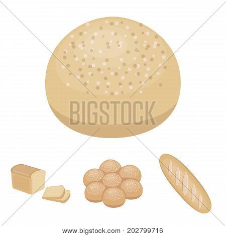 Cut loaf, bread roll with powder, half of bread, baking.Bread set collection icons in cartoon style vector symbol stock illustration .