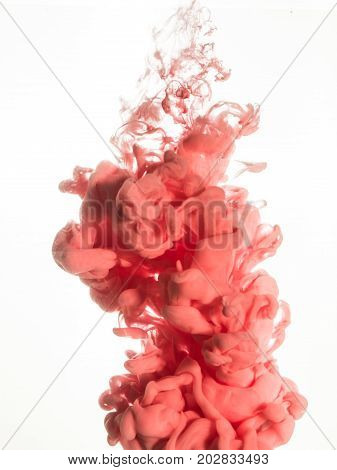 Ink swirl in water isolated on white background. The paint in the water. Soft dissemination a droplets of pink ink in water close-up. Abstract background. Soft focus, blurred backdrop.