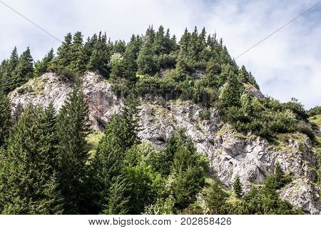 hill with mountain meadow trees and limestone rocks with caves above Ticha dolina valley in Tatras mountains in Slovakia