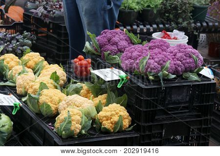 Farmers market vegetables display. Assorted colorful purple and yellow cauliflower for sale.