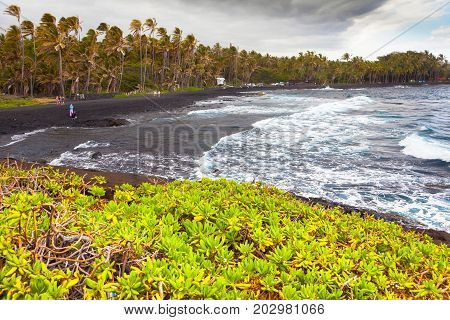 black sand volcanic beach with palms at sunset  big island  hawaii