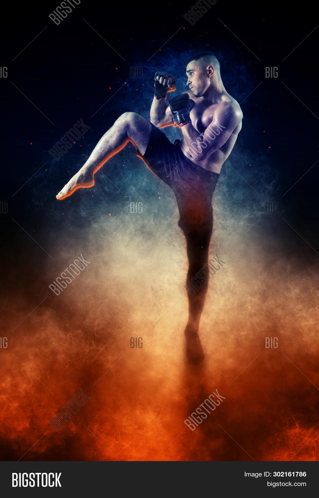 MMA Male Fighter Image & Photo (Free Trial) Bigstock