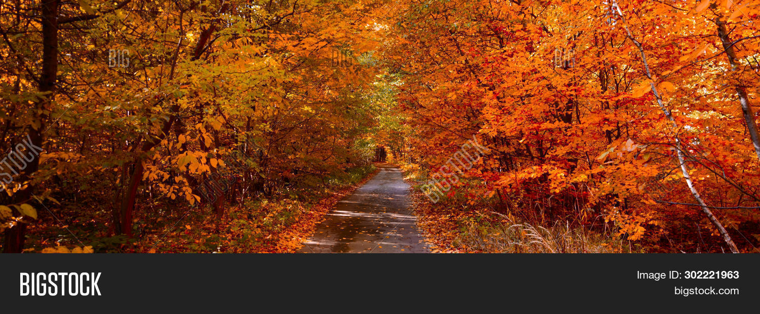 Banner 3 1 Autumn Image Photo Free Trial Bigstock