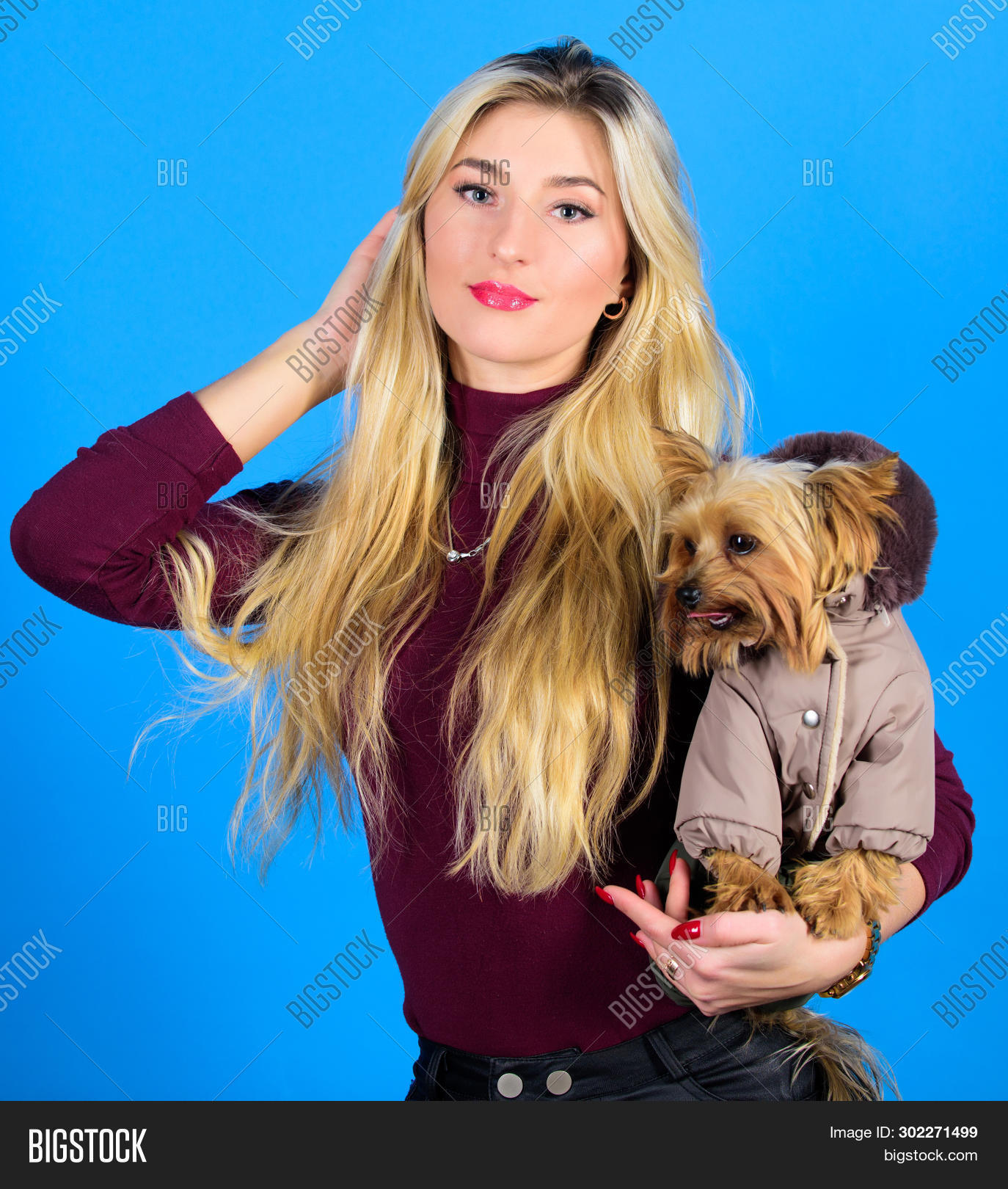 Do Dogs Need Clothes