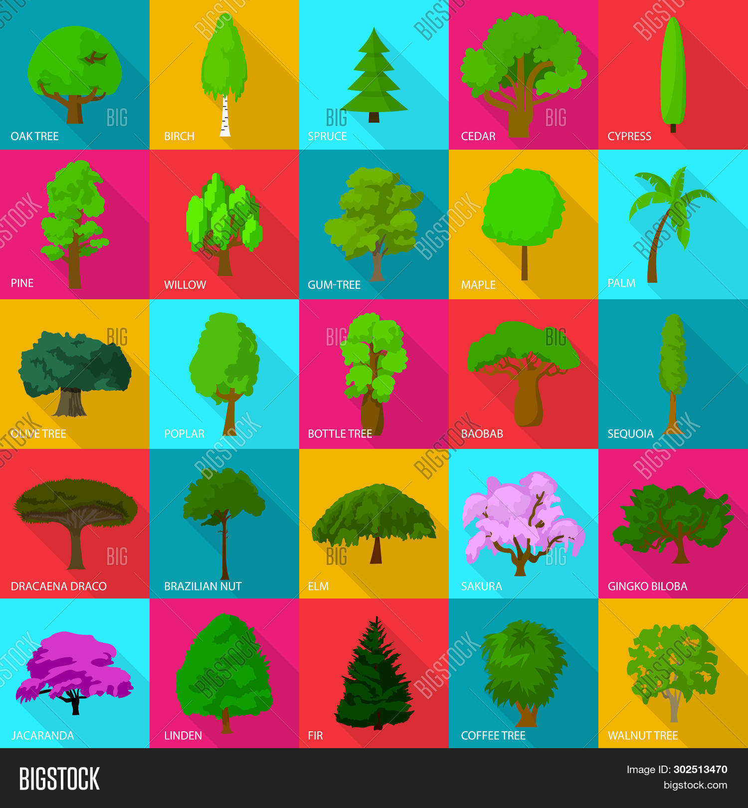 Tree Types Icons Set. Image & Photo (Free Trial) | Bigstock