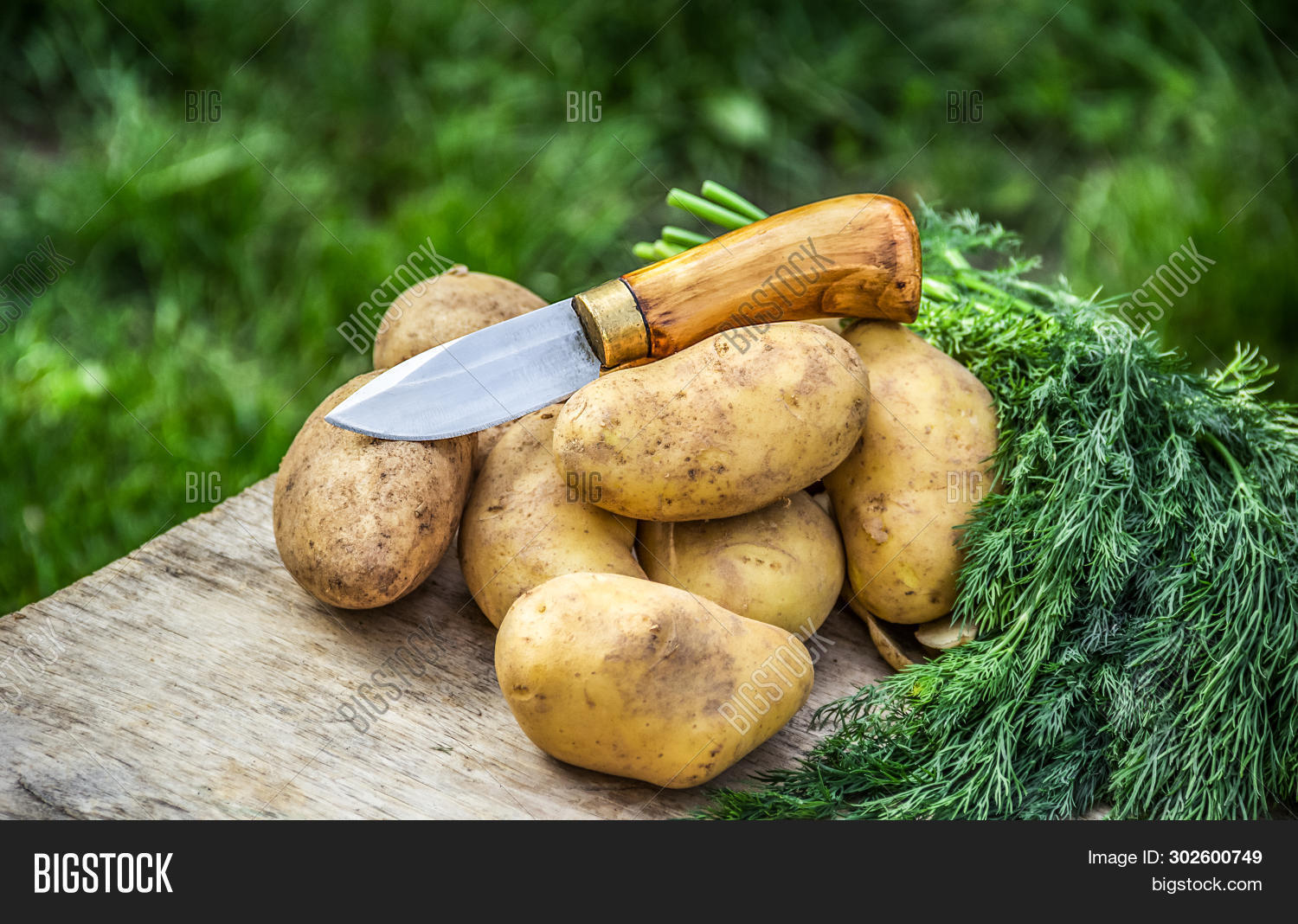 Potato Knife. Peeling Image & Photo (Free Trial) Bigstock