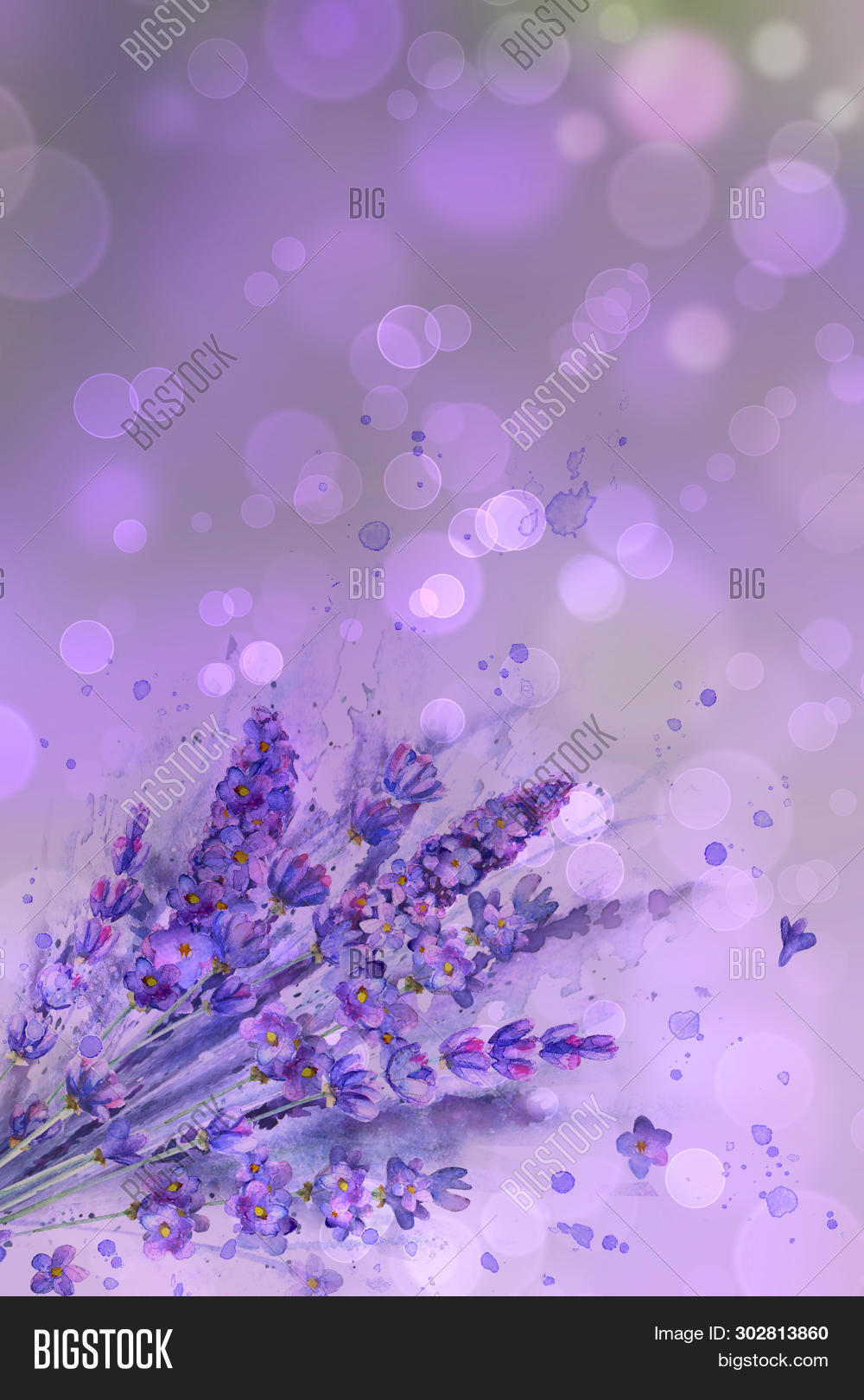 Watercolor Lavender Image & Photo (Free Trial) Bigstock