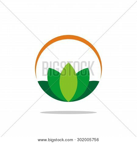 Colorful Ornamental Lotus Flower Vector Template Design