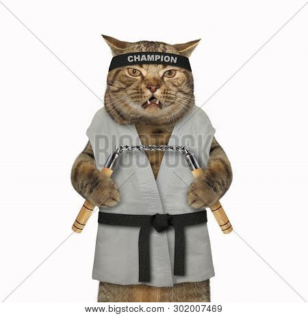 The Cat Karate Fighter In A Kimono With A Black Belt And Headband Is Making Exercise With Nunchuck. 