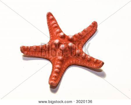 Starfish
