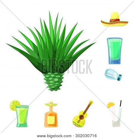 Vector Illustration Of Mexico And Tequila Icon. Set Of Mexico And Fiesta Vector Icon For Stock.