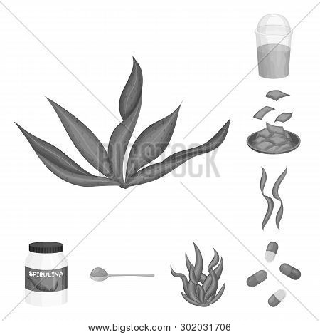 Vector Illustration Of Plant And Weed Icon. Set Of Plant And Sea Vector Icon For Stock.
