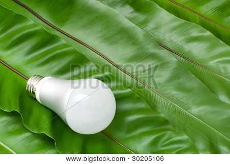 Lampadina a LED