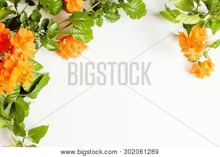 A Beautiful Crossandra, With Bright Orange Flowers And Lush Greens On A White Background With Copy S