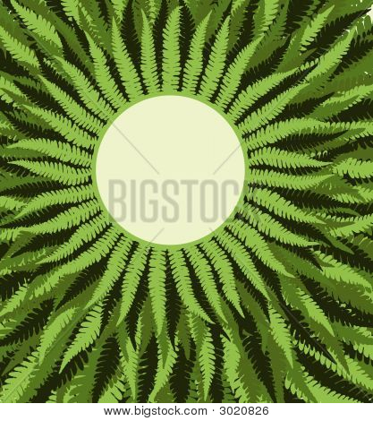 펀 프레임 배경