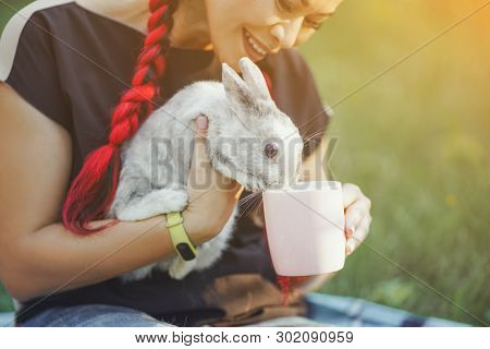 Pretty Asian Girl Drinks Tea And Huggs Rabbit On Green Grass Of Summer Forest. Good-looking Girl Wit