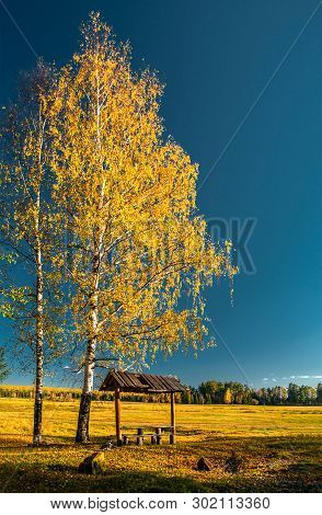 Arbor With Benches Near The Field, Under A Birch With Yellow Leaves And Under The Blue Sky, Mari El,