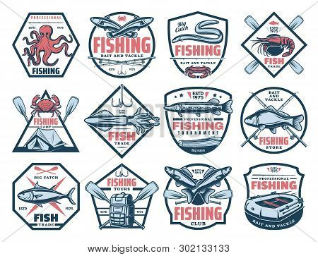 Fishing Outdoor Adventure Icons, Tuna, Trout And Eel Big Fish Catch Tournament. Vector Fisherman Sto