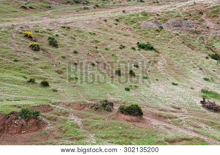 Mountain Side In Atlas Mountains; Morocco; With Sparse Vegetation And Rock Detritus
