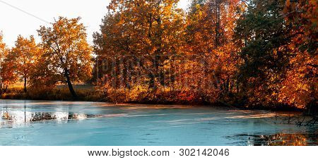 Autumn At The Forest River In Sunny Day