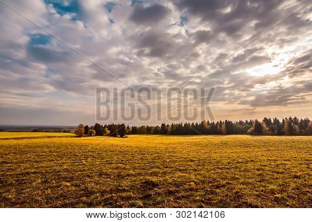 Early Sunrise At The Yellow Field, Russia, Mari El