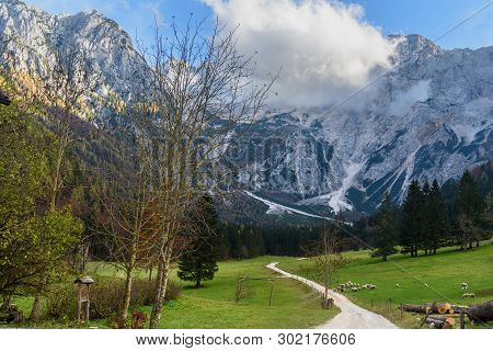 View Of Mount Skuta From Valley Zgornje Jezersko In Autumn. Northern Slovenia