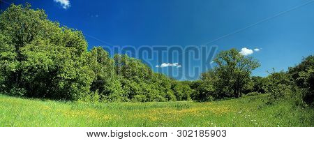 Panorama Of A Green Meadow, A Suburb Of Novomoskovsk, Ukraine