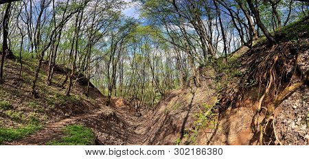 Panorama Of A Green Meadow, A Suburb Of Novomoskovsk, Ukraine