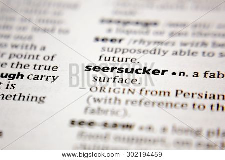 Word Or Phrase Seersucker In A Dictionary.