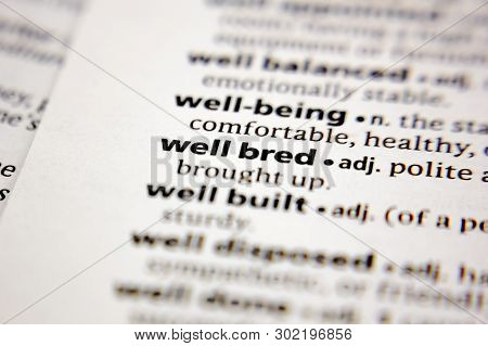 Word Or Phrase Well Bred In A Dictionary.