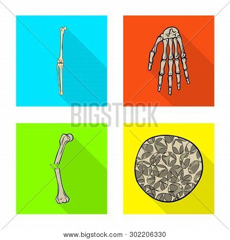Vector Design Of Bone And Skeleton Logo. Set Of Bone And Human Stock Symbol For Web.