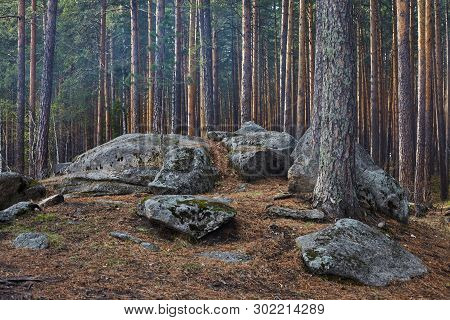 Large Stone Boulders In The Forest.