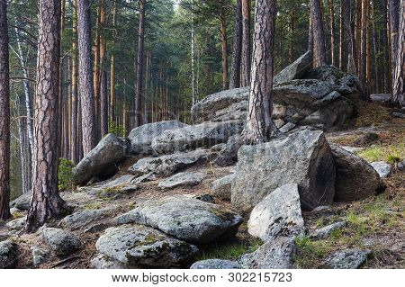 Large Stone Boulders In The Forest. Spring Forest In The Urals With Huge Stones