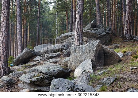 Large Stone Boulders In The Forest. Spring Forest In The Urals With Huge Stones