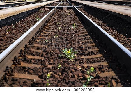 Railway Road. Rails And Cross Ties, Concept, Close-up.