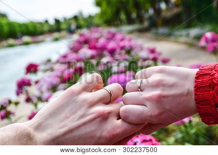 Hands Of Married Couple With Wedding Rings Against Pink Flowers Background And Path Or Way In Front
