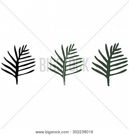 Cute Fern Foliage Lineart Silhouette Cartoon Vector Illustration Motif Set. Hand Drawn Jungle Elemen