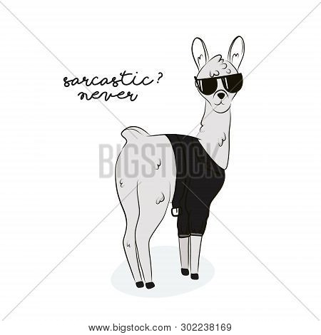 Sarcastic Llama Illustration. Modern Alpaca In Sunglesses, Bomber With Funny Text Drawing. Scandinav