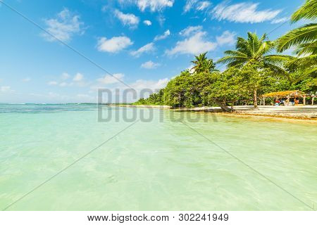 Turquoise Sea And Blue Sea In Bois Jolan Beach In Guadeloupe, French West Indies. Lesser Antilles, C