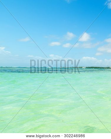 Colorful Shore In Bois Jolan Beach In Guadeloupe, French West Indies. Lesser Antilles, Caribbean Sea